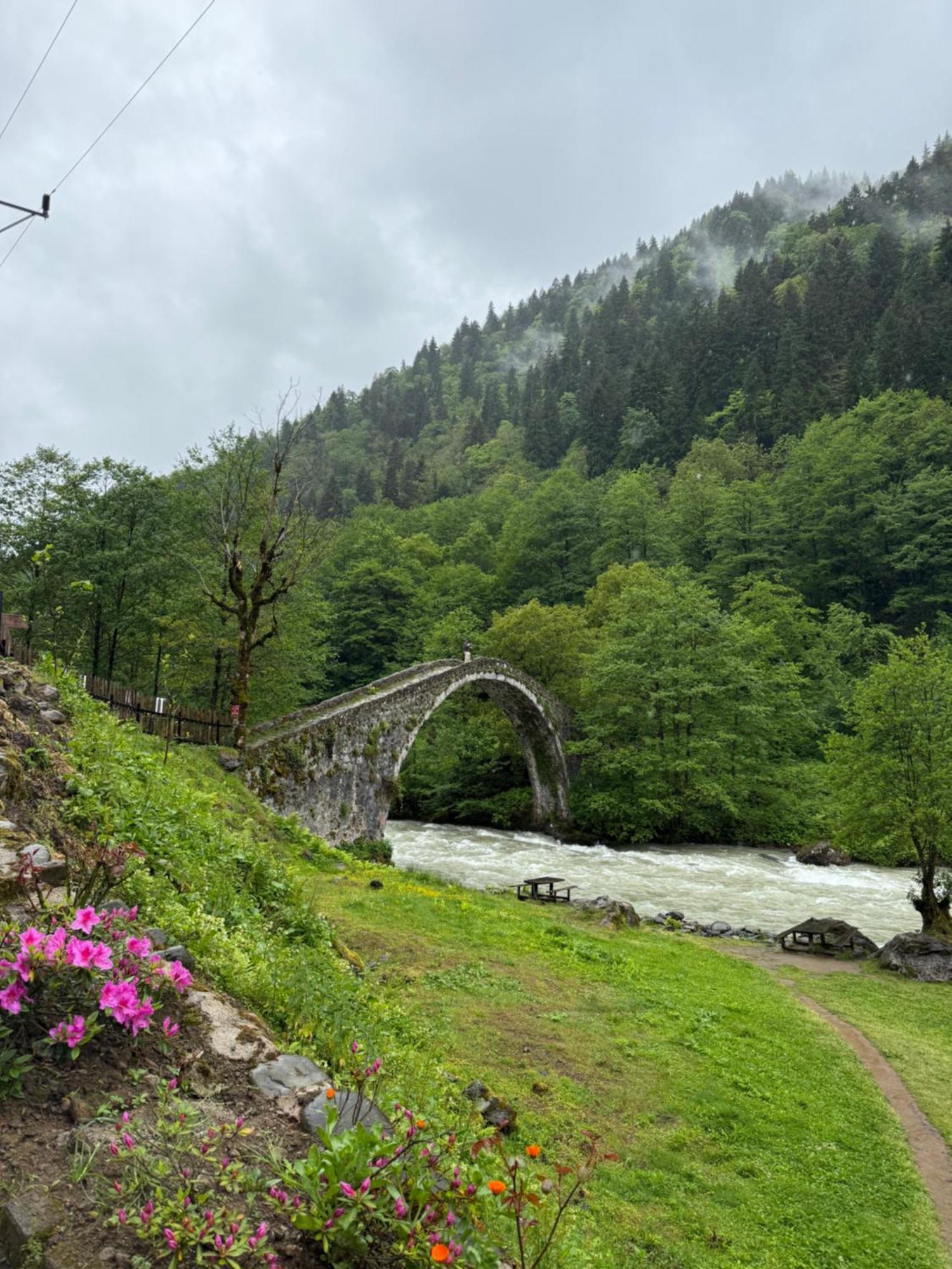 Berona Dag Evleri Çamlıhemşin Exterior foto